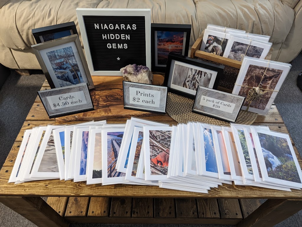 Niagaras Hidden Gems | 44 Chippawa Rd, Port Colborne, ON L3K 1T5, Canada | Phone: (905) 359-4376