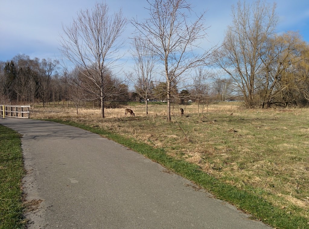 Stoney Creek Off-Leash Dog Park | 1343 Adelaide St N, London, ON N5X 1K1, Canada | Phone: (519) 661-2500 ext. 4570