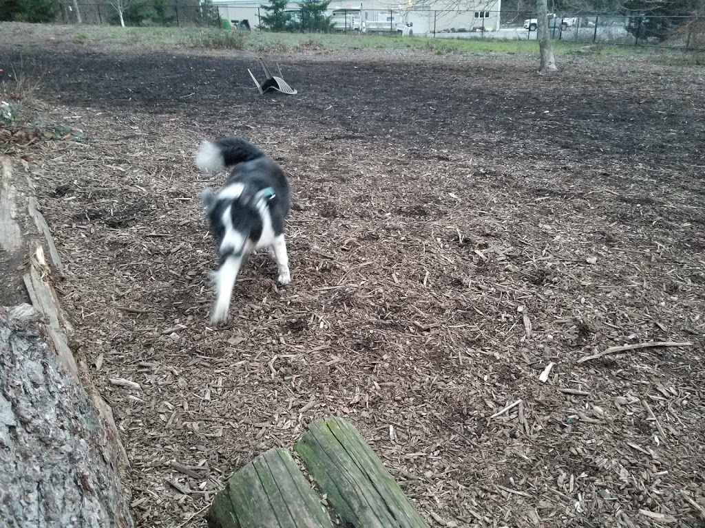 Squalicum Dog Park | 1001 Squalicum Way, Bellingham, WA 98225, USA
