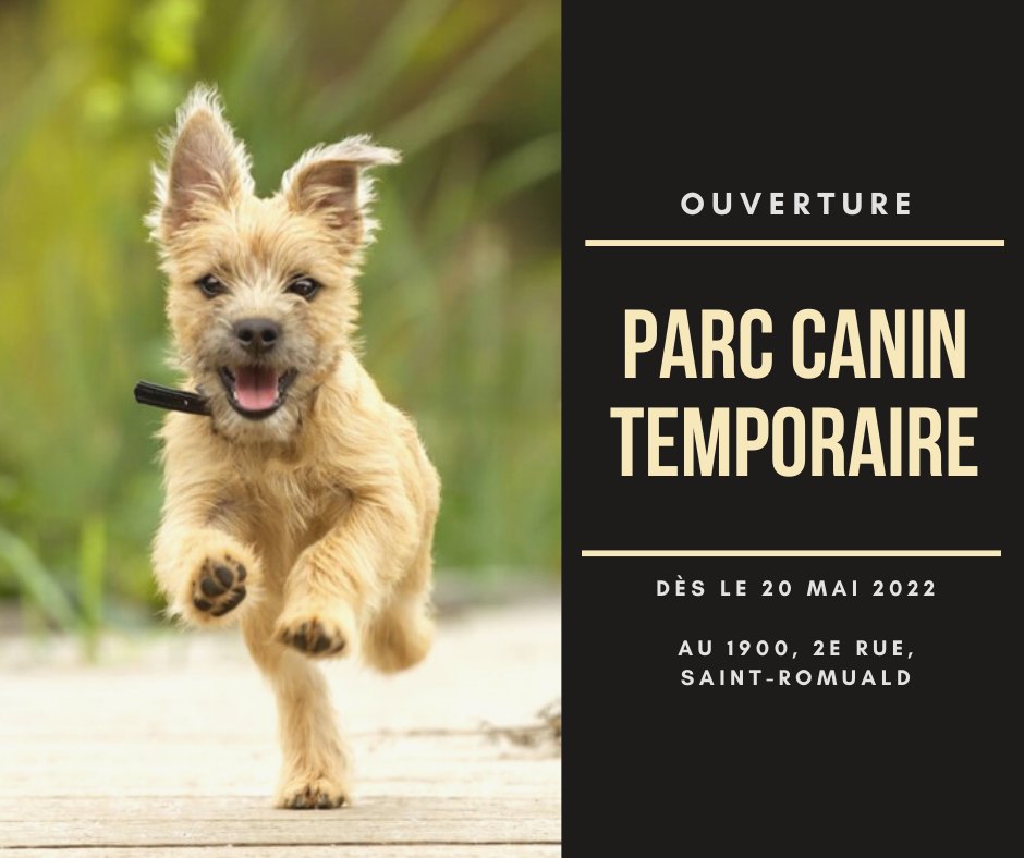 Société protectrice des animaux (SPA) Ville de Lévis | 8100 Rue du Blizzard, Charny, QC G6X 1C9, Canada | Phone: (418) 832-2525