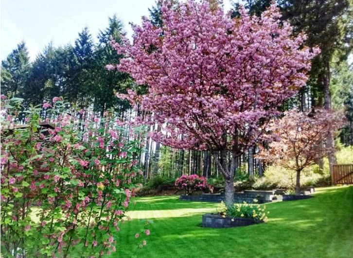 Libra Tree Services Ltd | 4945 Waters Rd, Duncan, BC V9L 6S9, Canada | Phone: (250) 748-4449