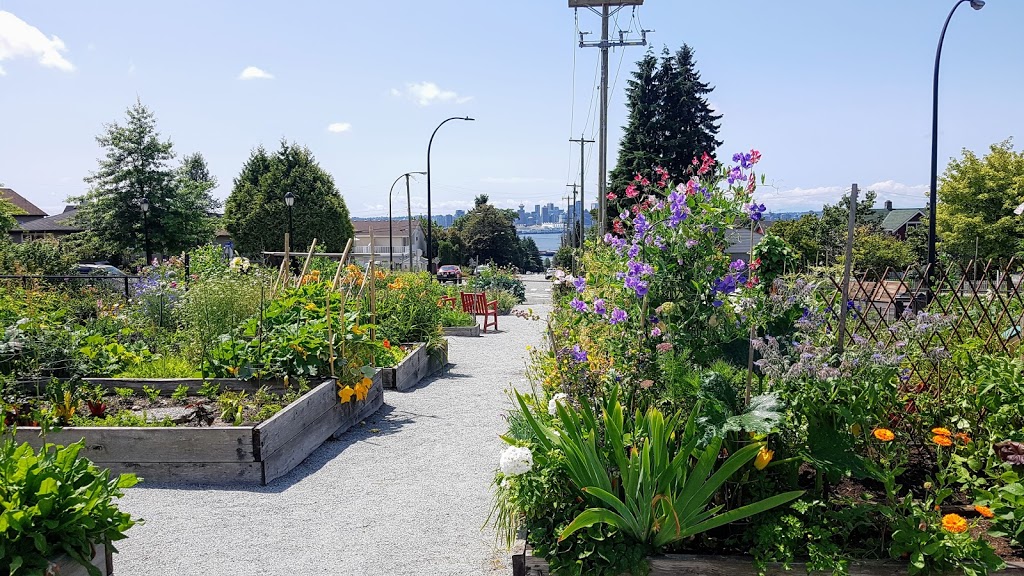 Queen Mary Community Garden | 280 W Keith Rd #200, North Vancouver, BC V7M 2M5, Canada | Phone: (604) 988-2497