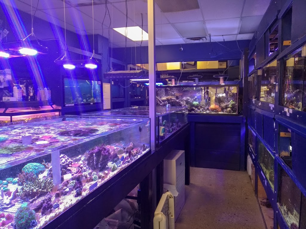 Peters Reef Pond | 463 Falconbridge Rd, Sudbury, ON P3A 3Z8, Canada | Phone: (705) 521-0050