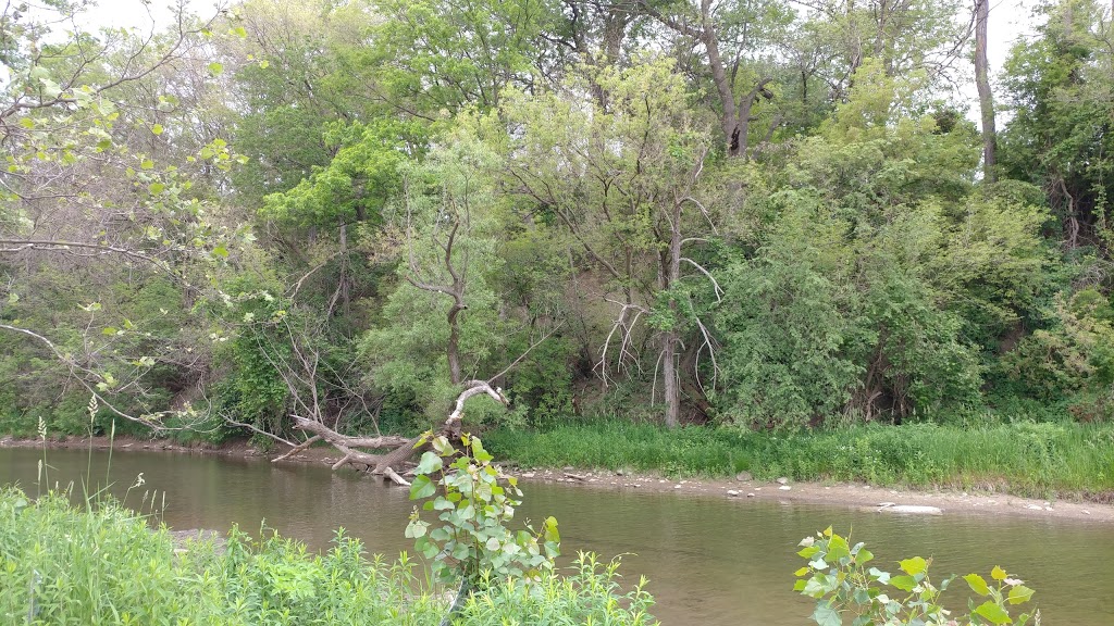 McCaugherty Park | 1629 Bristol Rd W, Mississauga, ON L5M 4B7, Canada