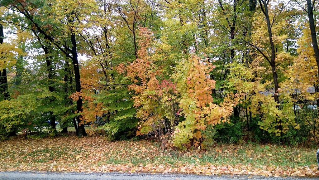 Hornby Glen Golf Course | 8286 Hornby Rd, Halton Hills, ON L0P, Canada | Phone: (905) 878-3421