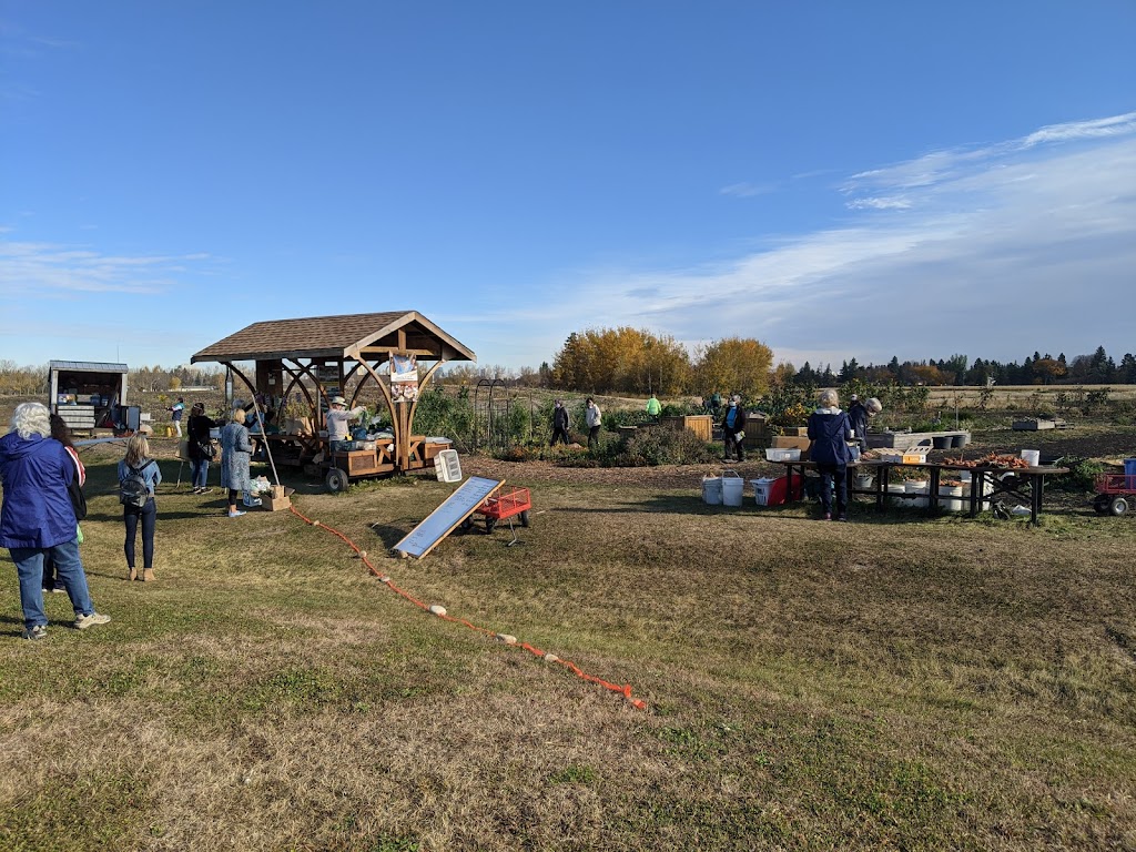 Green and Gold Community Garden | 118 St NW, Edmonton, AB T6H 2V8, Canada | Phone: (780) 492-4087