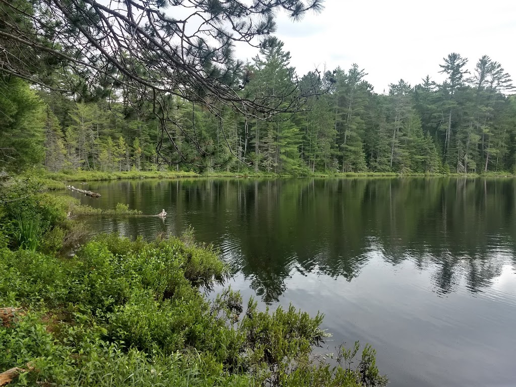 Pourvoirie Michel Saint Louis | 30 Chemin de la Baie Laplante, Notre-Dame-de-Pontmain, QC J0W 1S0, Canada | Phone: (866) 597-2617