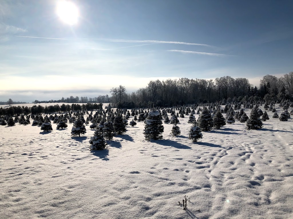 Elliott Tree Farm | 9467 Erin East Garafraxa Townline, Hillsburgh, ON N0B 1Z0, Canada | Phone: (519) 216-0699