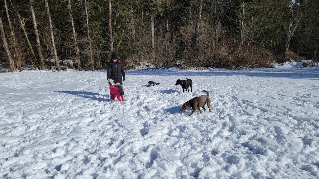 Chelsea Park Off-leash Dog Area | 1277 Chelsea Ave, Port Coquitlam, BC V3B 7J9, Canada | Phone: (604) 927-5496