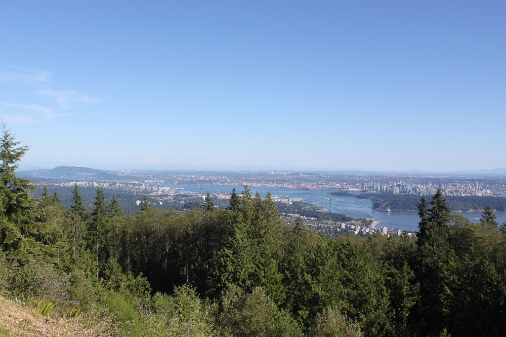 Petro-Canada | 1675 Rupert St, Vancouver, BC V5K 4M1, Canada | Phone: (604) 254-7283