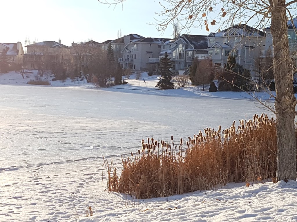 Twin Brooks Park | 1120 113 St NW, Edmonton, AB T6J 7J4, Canada