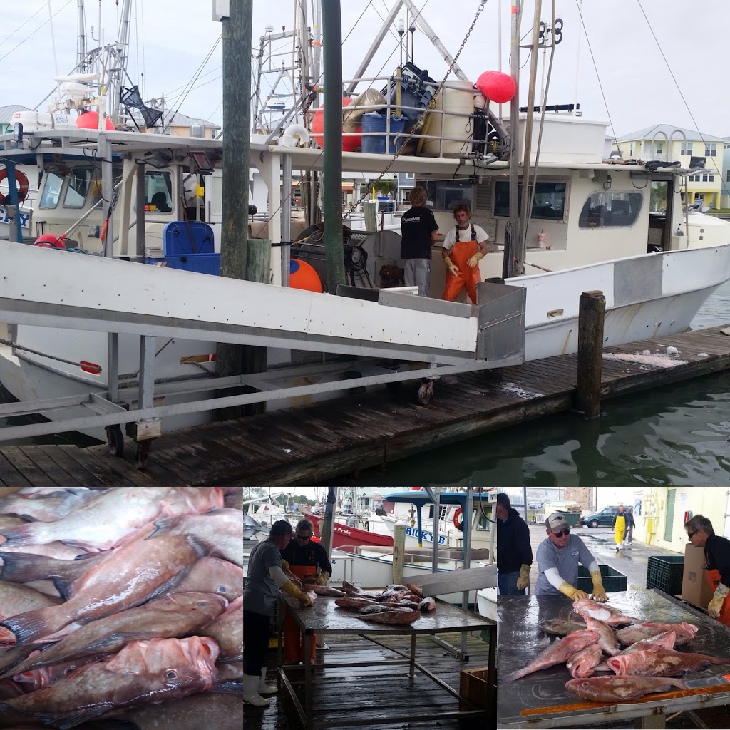Seacore Seafood Inc. | 81 Aviva Park Dr, Woodbridge, ON L4L 9C1, Canada | Phone: (905) 856-6222