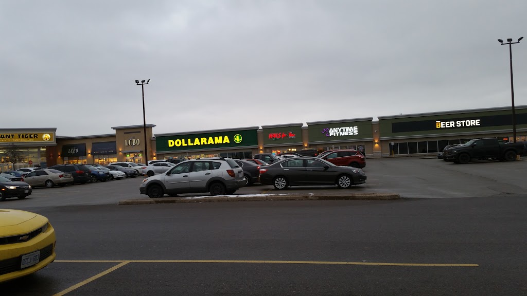 Giant Tiger | 2025 Guelph Line, Burlington, ON L7P 4M8, Canada | Phone: (905) 335-4536