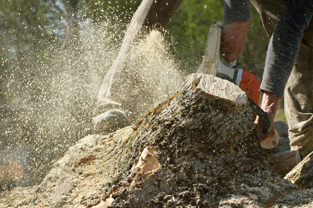 Brantford Tree Service | 565 Paris Rd, Brantford, ON N3T 6M2, Canada | Phone: (519) 756-6068
