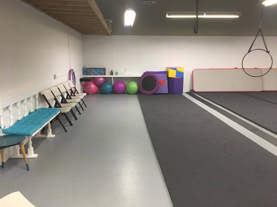 Apex Dance Industry | 142 Kendall St, Point Edward, ON N7V 4G5, Canada | Phone: (519) 330-1625