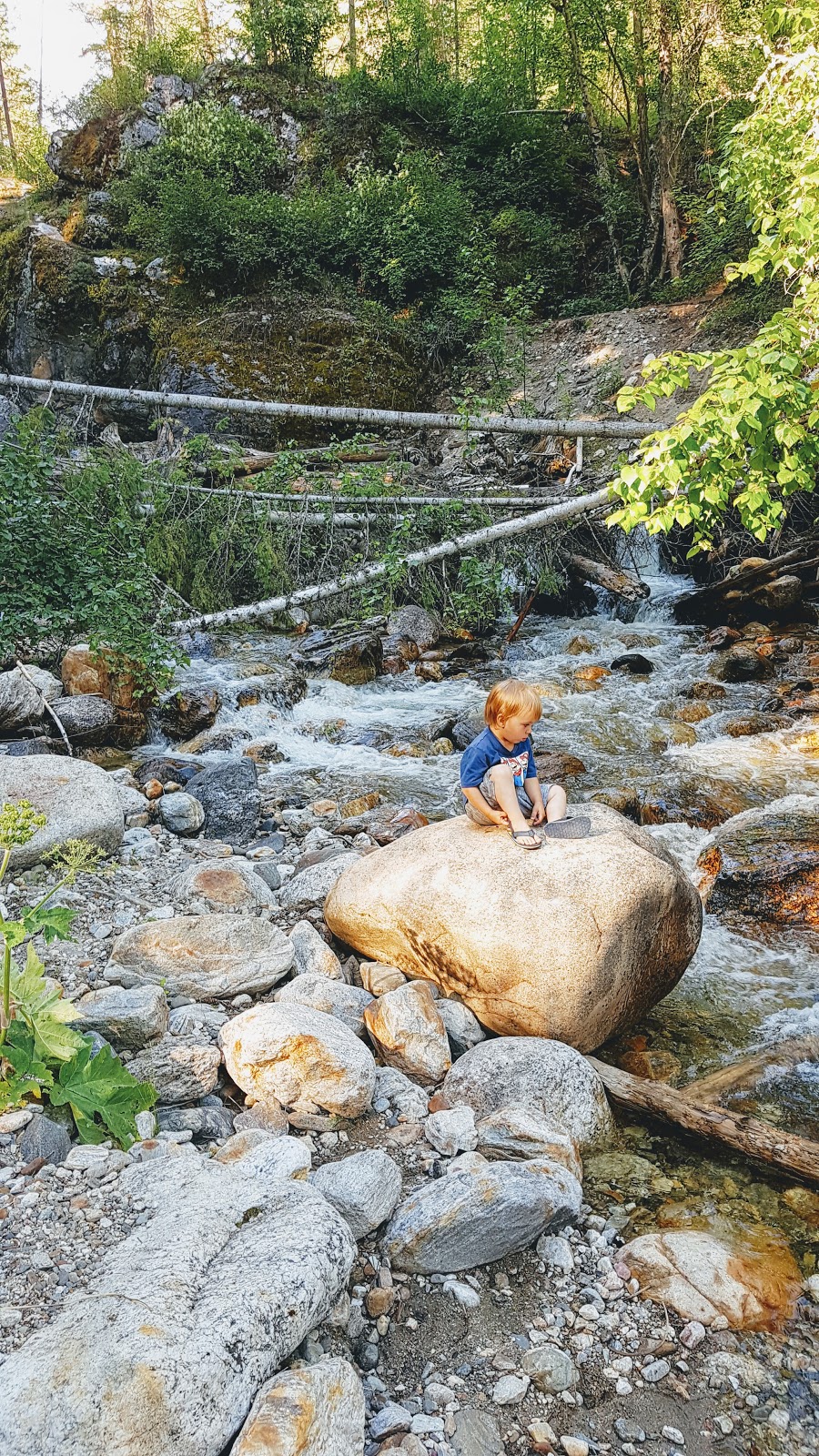Ashton Creek Falls | North Okanagan F, BC V0E 1V5, Canada