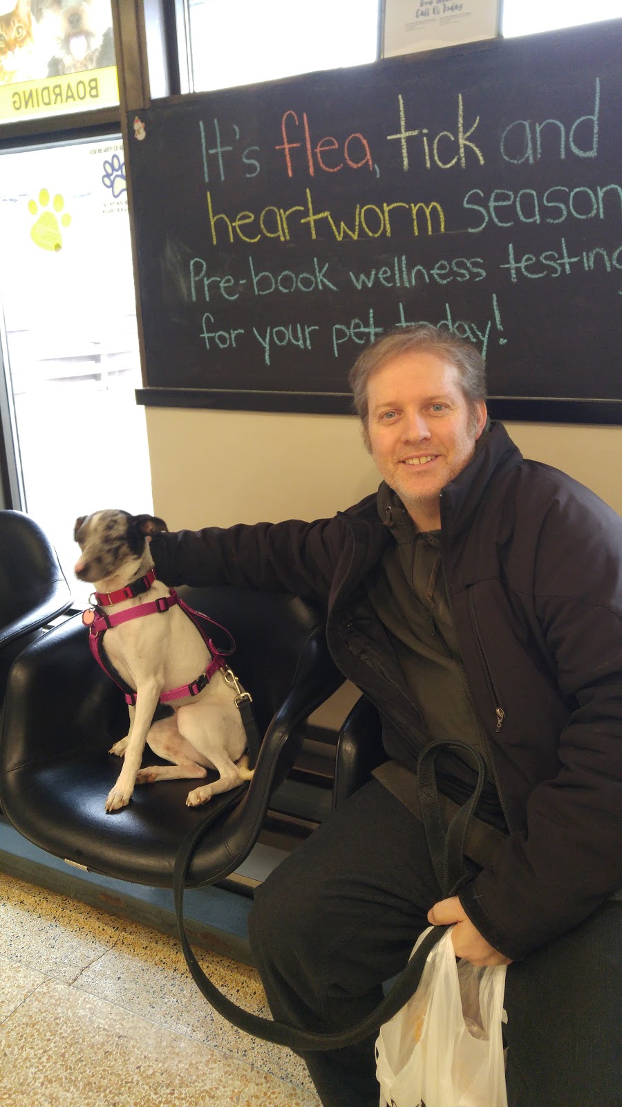 VCA Canada Kingsway Animal Hospital | 1770 King St E, Hamilton, ON L8K 1V7, Canada | Phone: (905) 547-1206