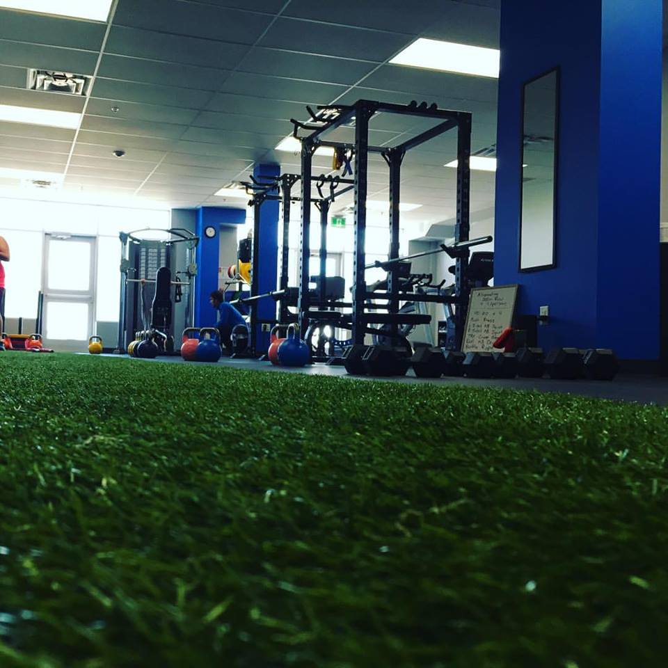 MVP Fitness | 3375 Principale-Ouest Ave, Dieppe, NB E1A 0X7, Canada | Phone: (506) 204-0955