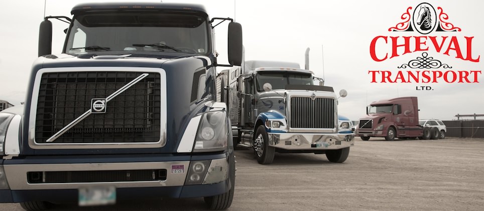 Cheval Transport Ltd | 235 Cochlan Dr, Morden, MB R6M 1G5, Canada | Phone: (204) 822-6798