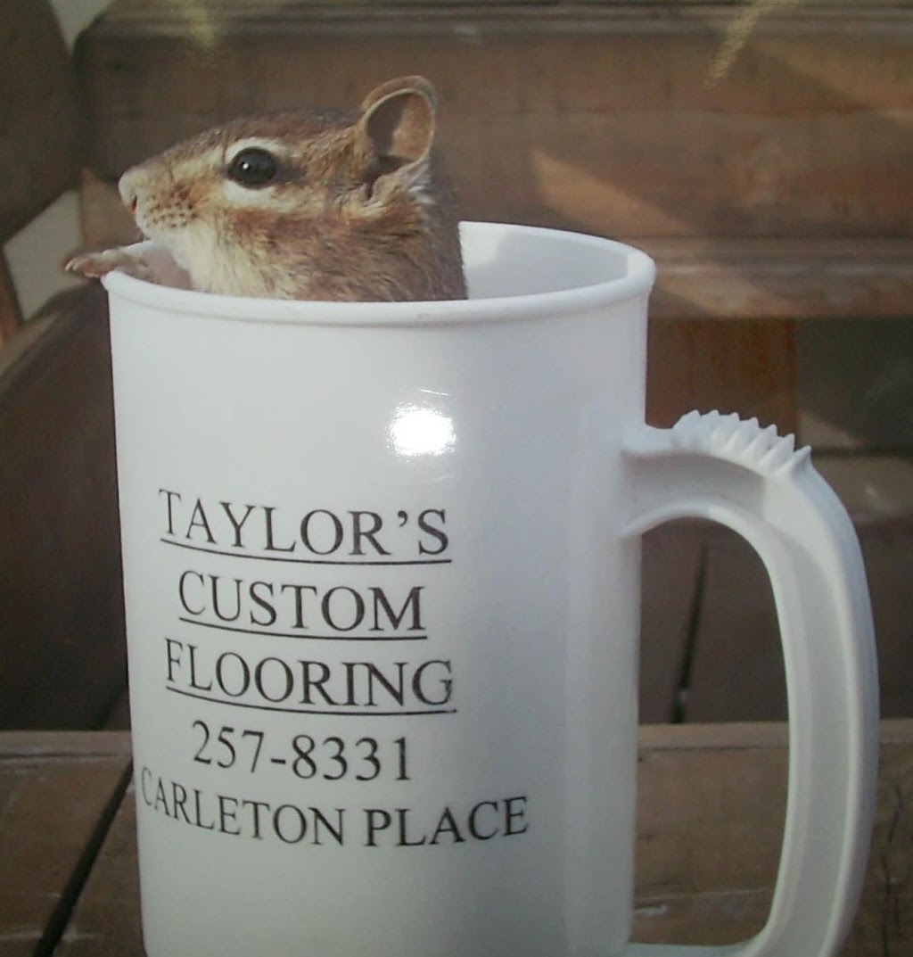 Taylors John Custom Flooring | furniture store | 140 Industrial Av, Carleton Place, ON K7C 3T2, Canada | 6132578331 OR +1 613-257-8331
