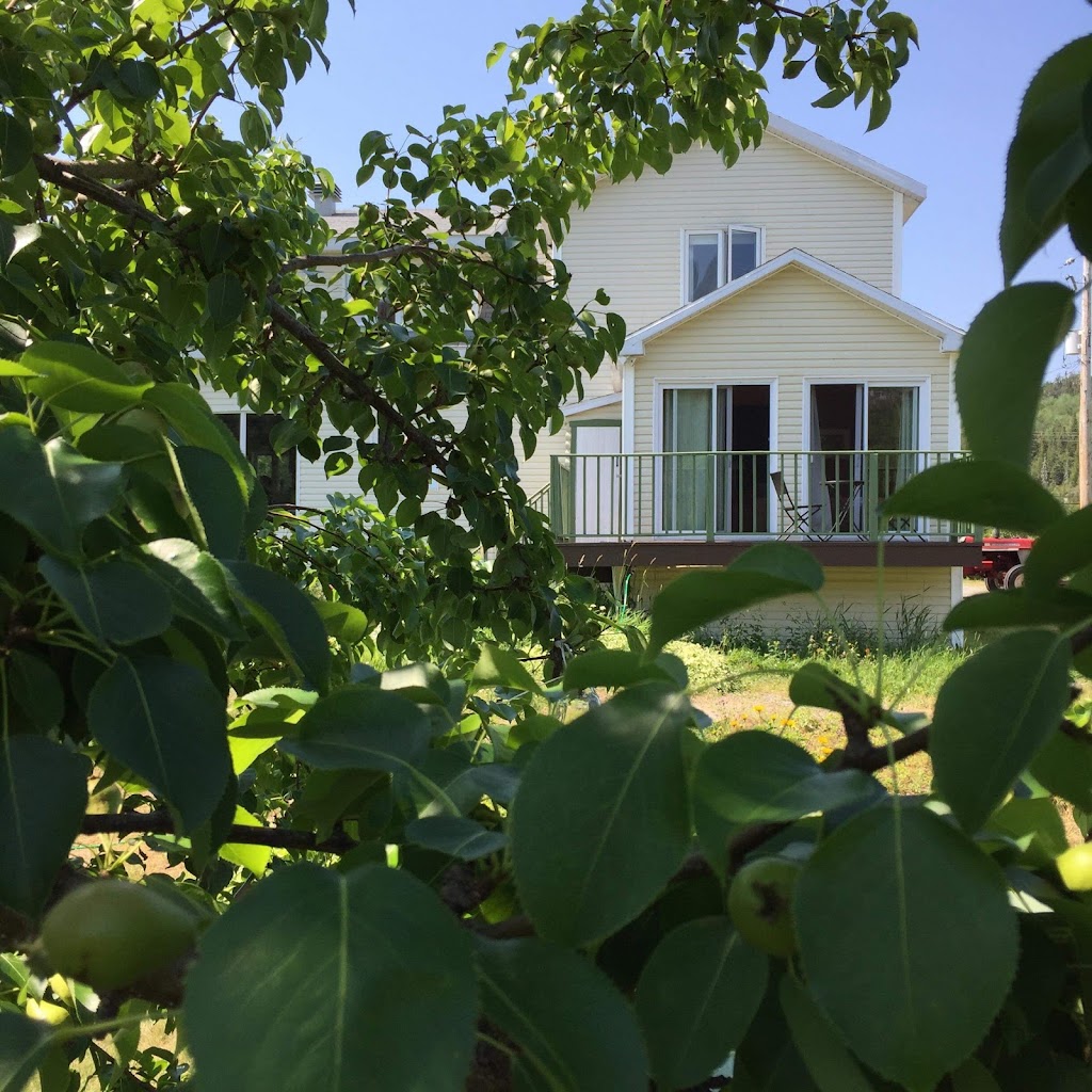 La Chouette Virée | 81 QC-138, Grandes-Bergeronnes, QC G0T 1G0, Canada | Phone: (581) 324-0535