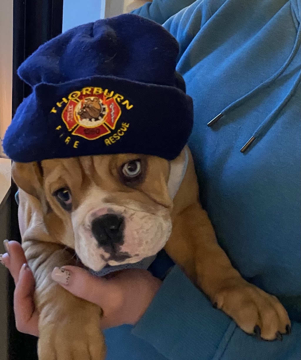 Thorburn Fire Hall | 738 Marsh Rd, Thorburn, NS B0K 1W0, Canada | Phone: (902) 922-3105