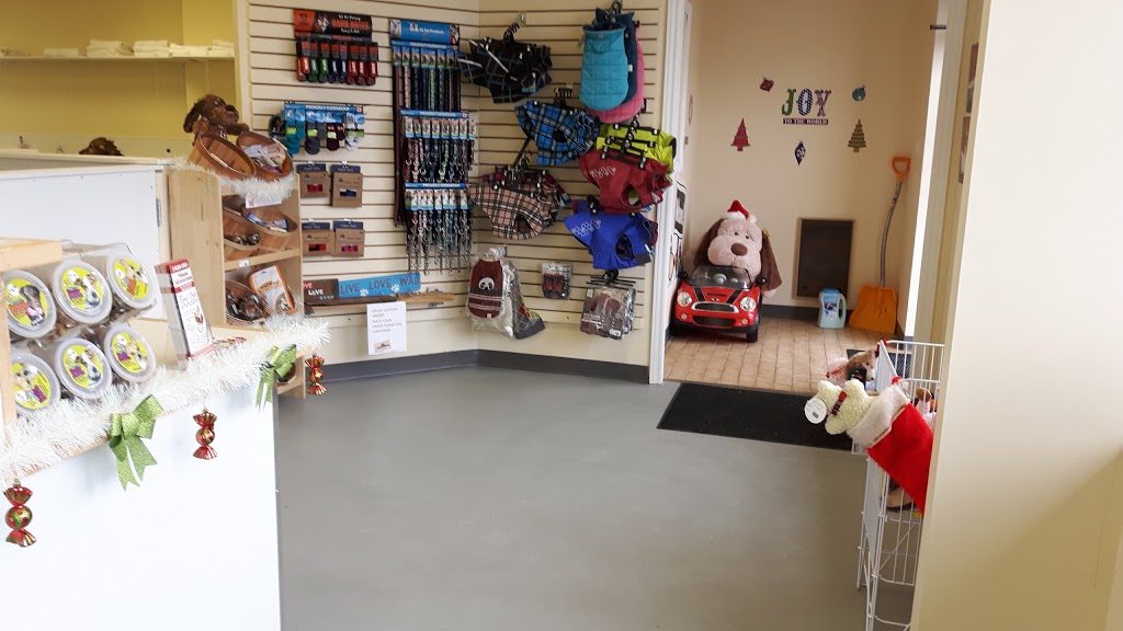 Paws in The Bath Dog Grooming | 1100 Gorham St #21, Newmarket, ON L3Y 8Y8, Canada | Phone: (905) 235-7227