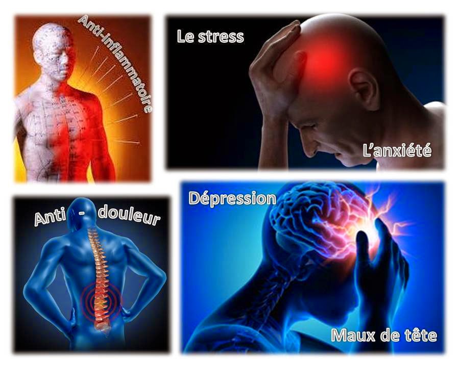 Acupuncture Chinoise HY TRAN de Sherbrooke 中國針灸診所 | 99 Rue Gordon, Sherbrooke, QC J1H 4Y4, Canada | Phone: (819) 822-1153