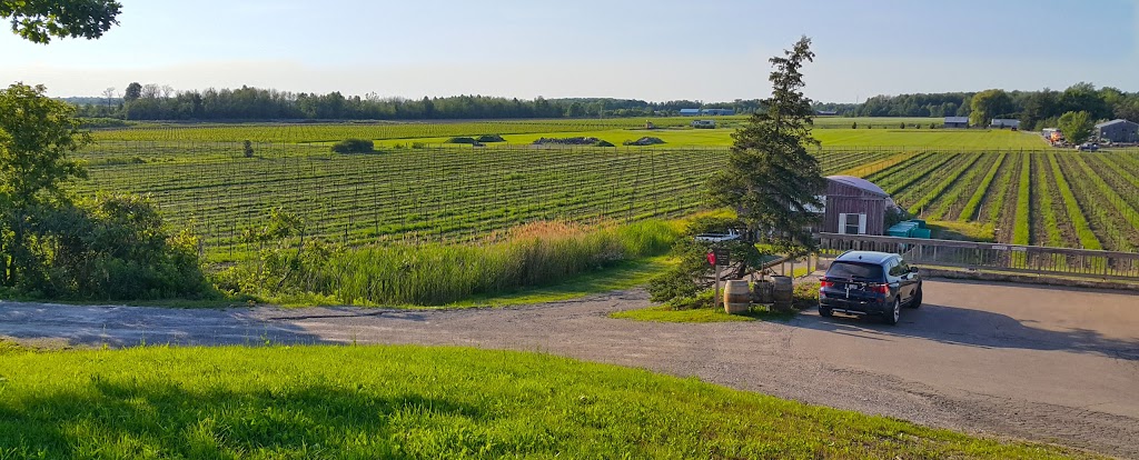 Maleta Estate Winery | 450 Queenston Rd, Niagara-on-the-Lake, ON L0S 1J0, Canada | Phone: (905) 685-8486