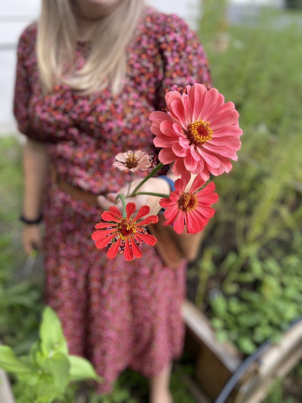 Callaway Floral | 131 Isabella St E, Arthur, ON N0G 1A0, Canada | Phone: (613) 406-6066