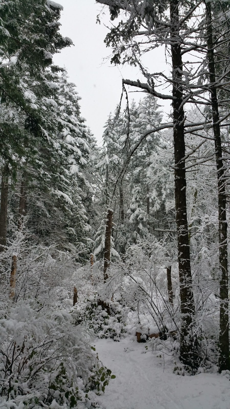 Highland Park | 1519 Highridge Dr, Comox, BC V9M 4H7, Canada | Phone: (250) 339-2202