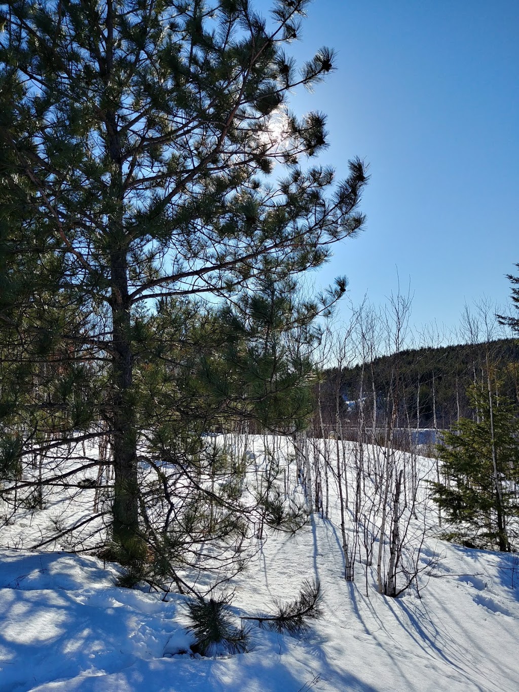 Jane Goodall Reclaimation Trail | 775-851 Garson Coniston Rd, Garson, ON P3L 1V9, Canada