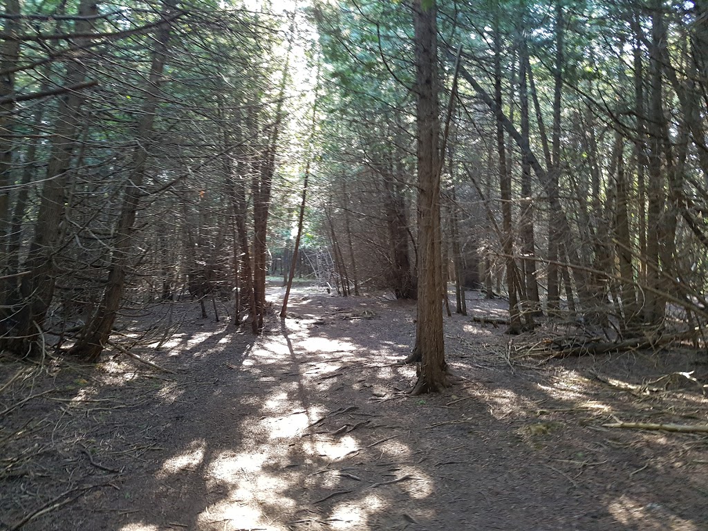 Stony Swamp Trail | NCC 26, Nepean, ON K2R 1H4, Canada