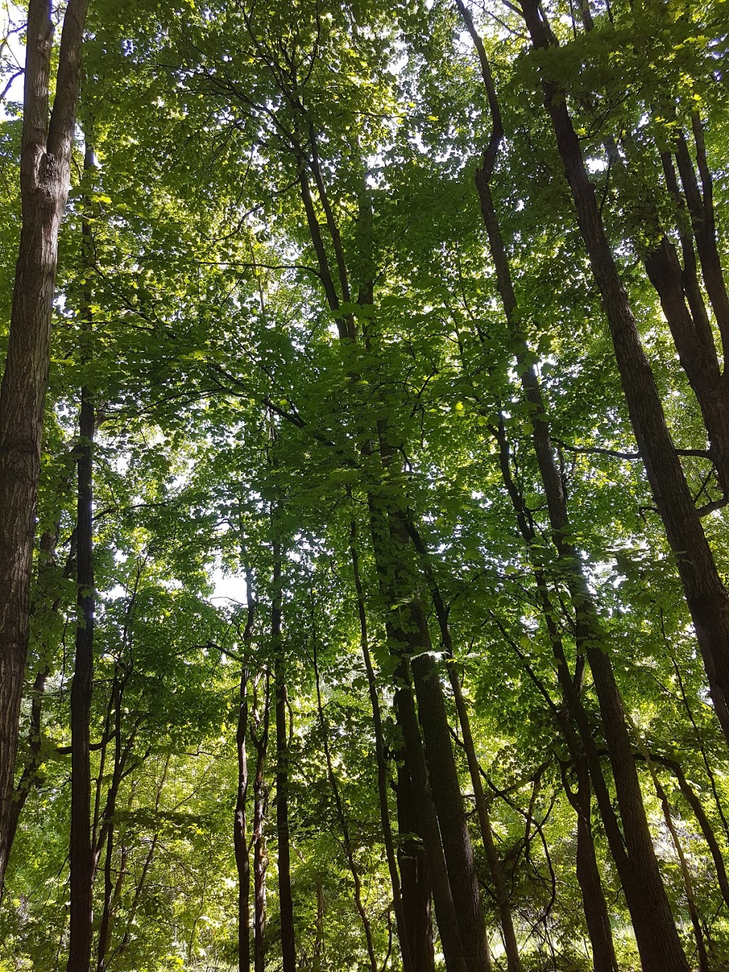 Yuile Park | Pierrefonds, QC H9J 1Y6, Canada