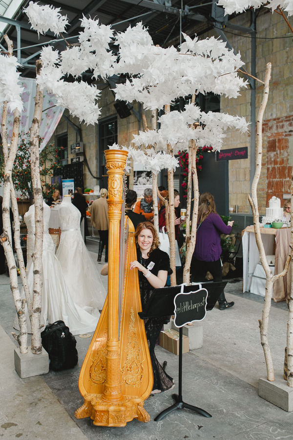Chantal Dube the Harpist | 125 Dorothy St, Welland, ON L3B 3V8, Canada | Phone: (416) 909-9944
