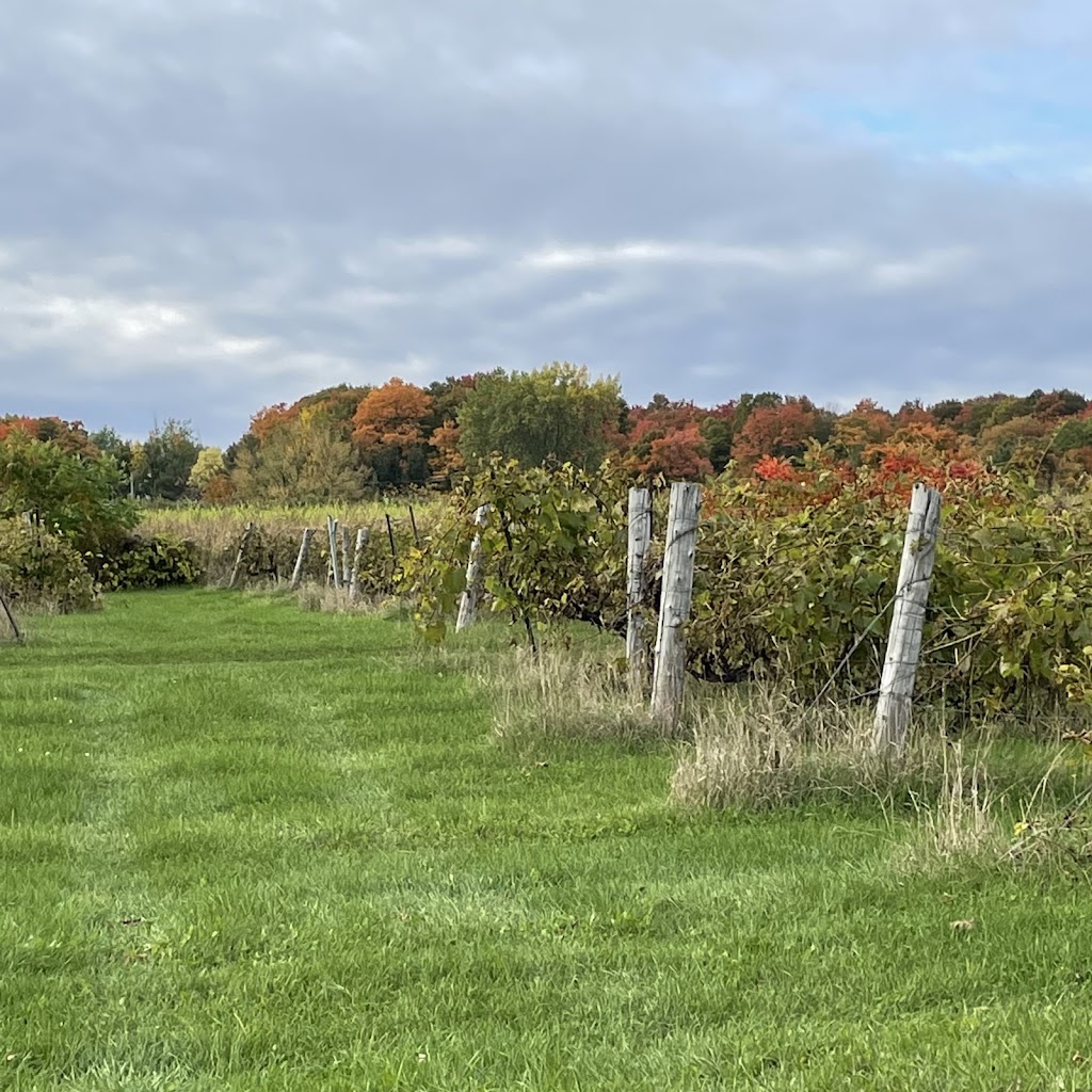 Verger Chez les Gauthier (ouverture le 6 septembre) 1970 Chem