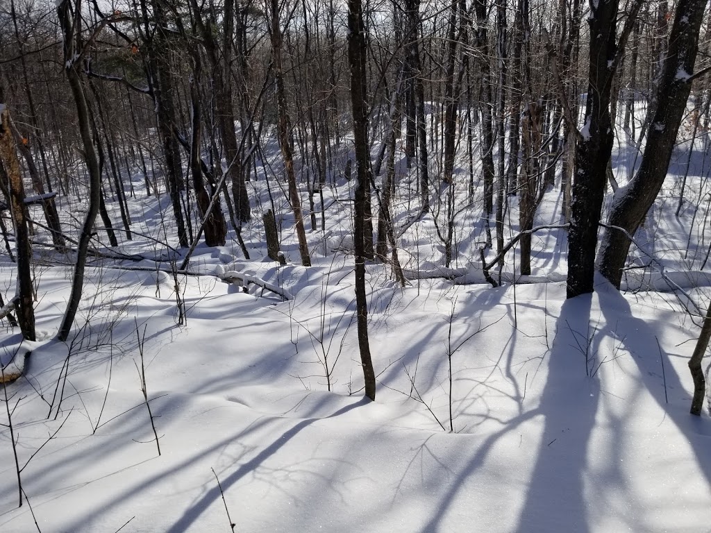 Huron Shelter | Trail 1, Chelsea, QC J9B 1H9, Canada | Phone: (819) 827-2020