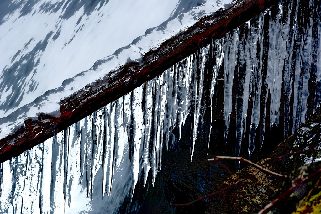 Iridescent Imagery | 24B Irving St, Dartmouth, NS B2W 1J9, Canada | Phone: (902) 412-1845