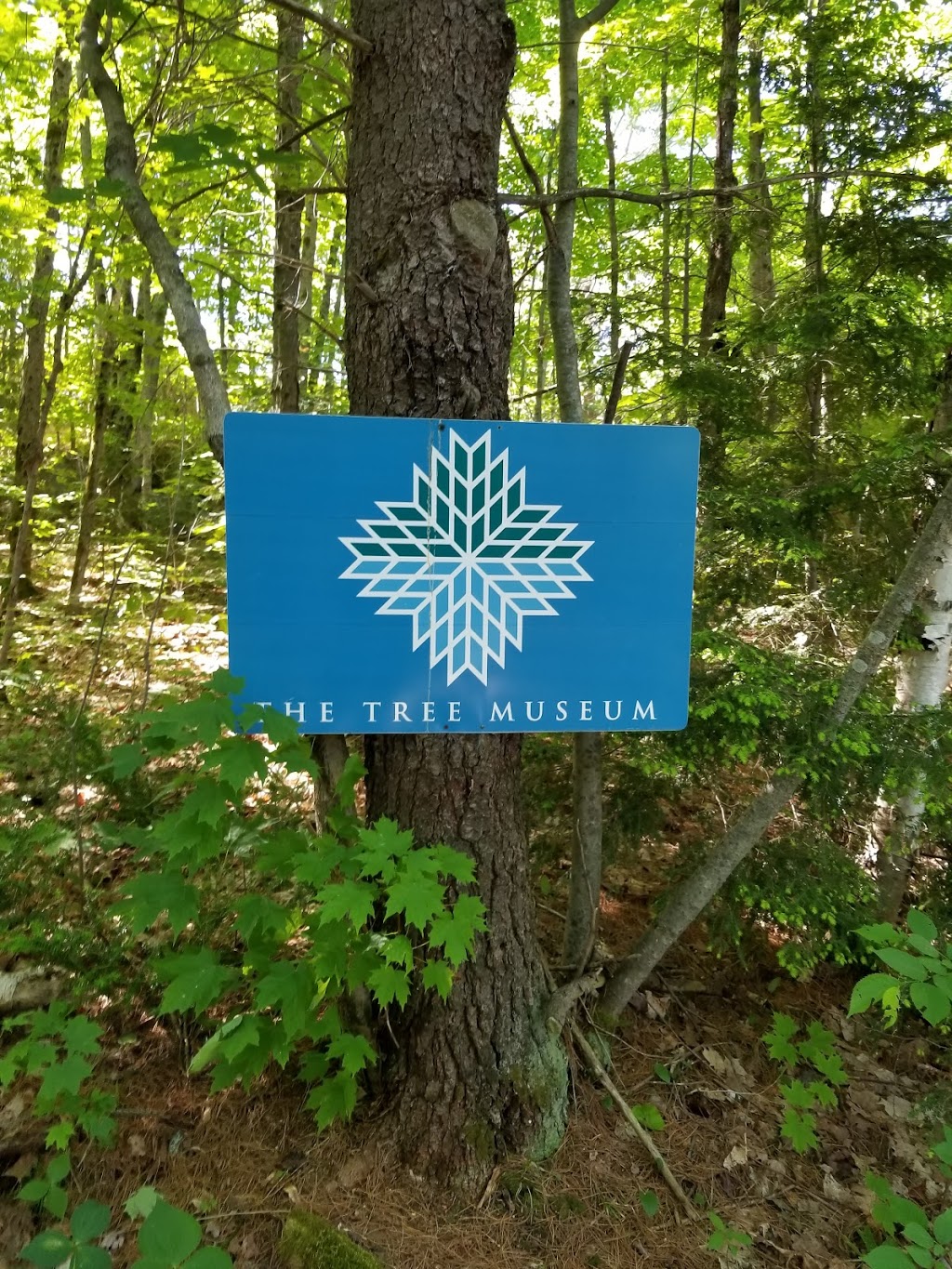 The Tree Museum | 1634 Doe Lake Rd, Gravenhurst, ON P1P 1R3, Canada