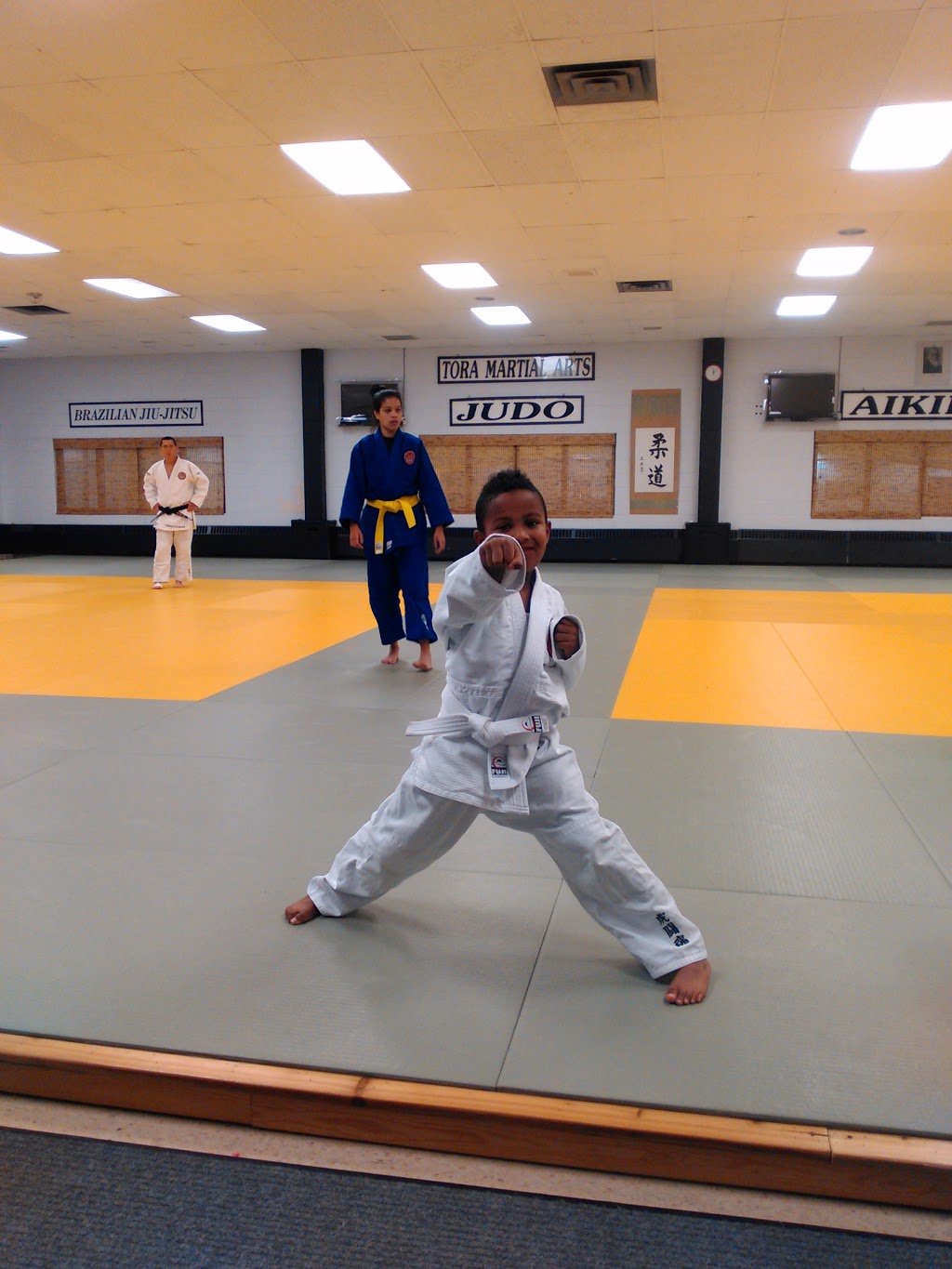 Terry Miller Recreation Centre | 1295 Williams Pkwy, Brampton, ON L6S 3J8, Canada | Phone: (905) 791-8211