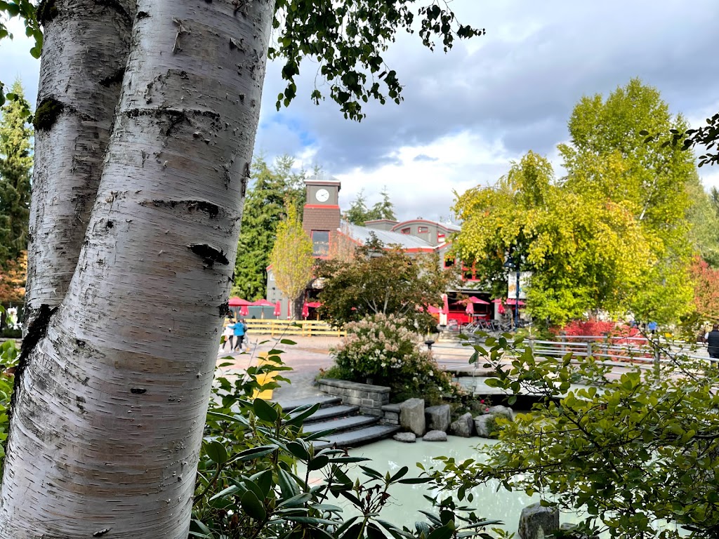 Town Plaza | 4314 Main St, Whistler, BC V0N 1B4, Canada | Phone: (866) 869-6752