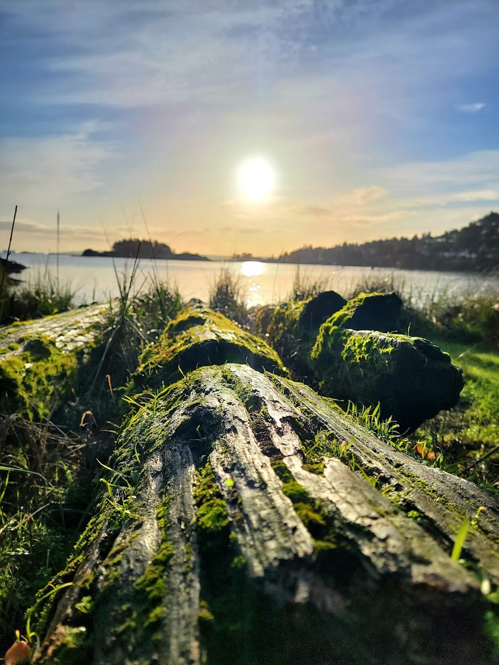 Shelly McNeil, Royal LePage Nanaimo Realty | 4200 N Island Hwy, Nanaimo, BC V9T 1W6, Canada | Phone: (250) 713-0334