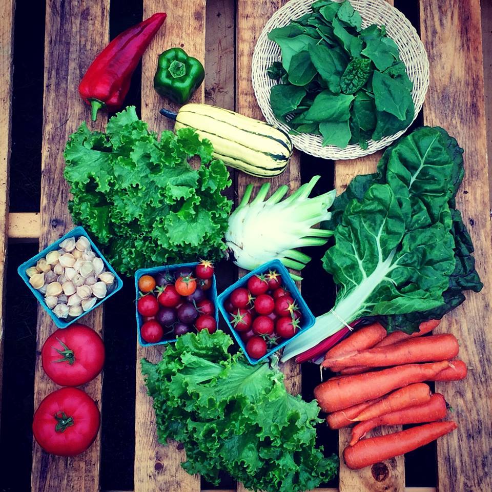 Codiac Organics Ltd. | 1176 Ryan St., Moncton, NB E1G 2V6, Canada | Phone: (506) 870-0772