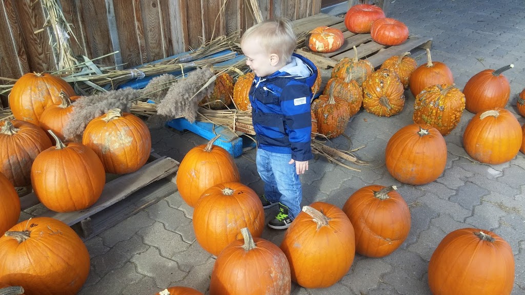 Farm Mount Bruno Inc. | 225 Rang des Vingt Cinq E, Saint-Bruno-de-Montarville, QC J3V 4P6, Canada | Phone: (450) 461-0099