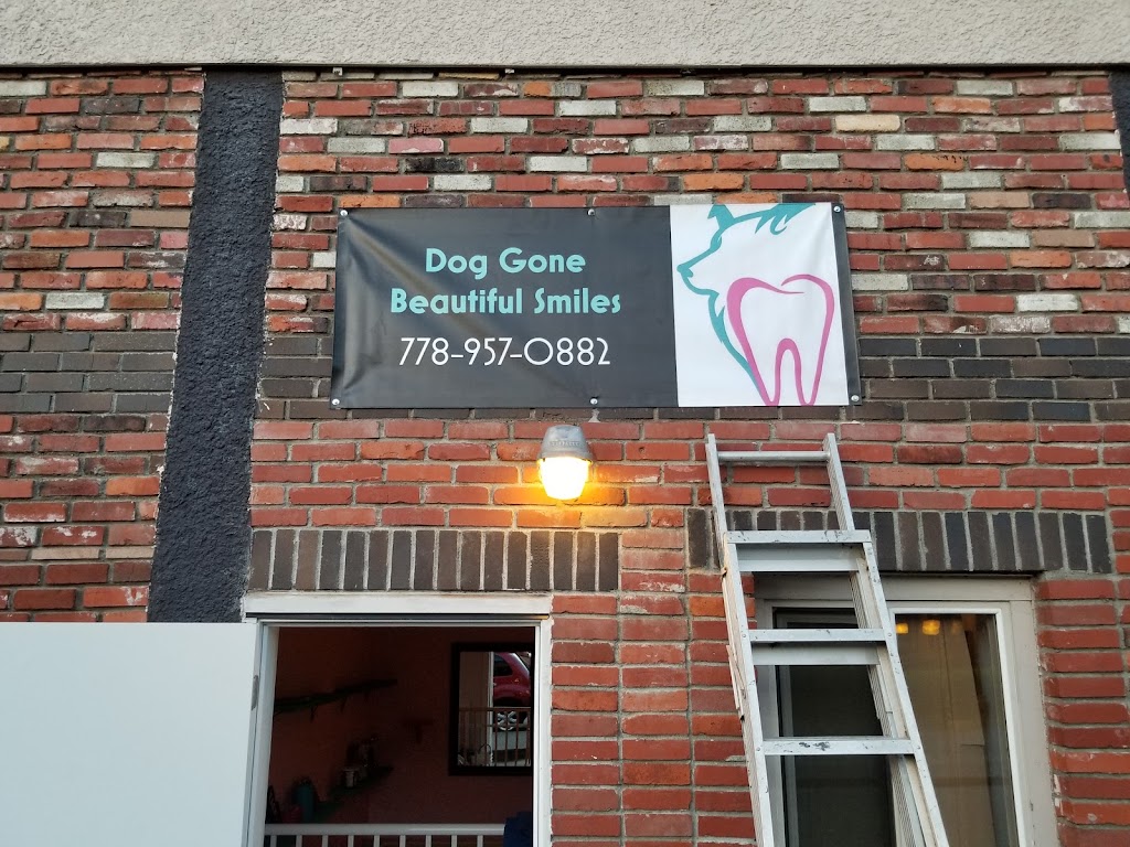 Dog gone beautiful Smiles aldergrove | 27159 Fraser Hwy, Aldergrove, BC V4W 3P7, Canada | Phone: (604) 427-0880