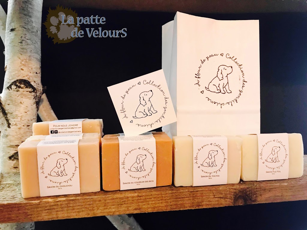 La patte de Velours | 295 Rue Saint-Antoine, Contrecoeur, QC J0L 1C0, Canada | Phone: (450) 587-2339