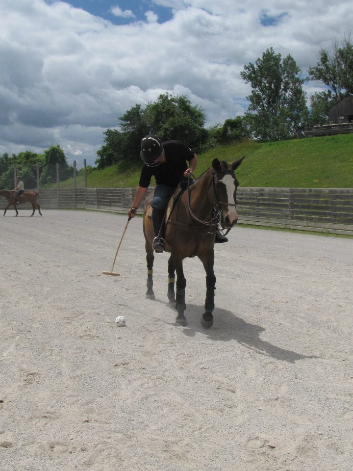 Polo Management Services | 16555 Keele St, Kettleby, ON L7B 0G1, Canada | Phone: (905) 727-6996