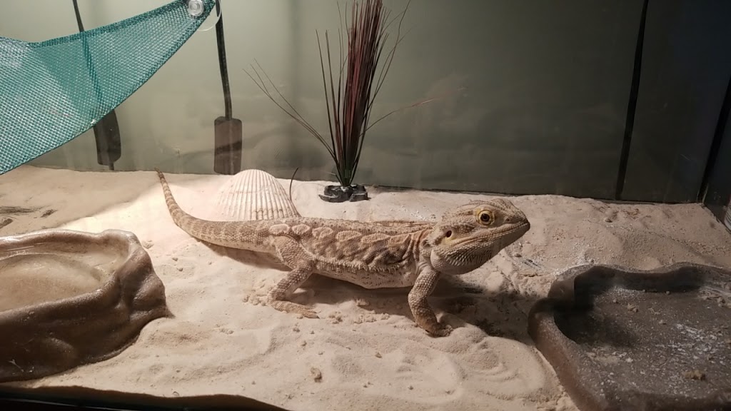Reptile Kingdom | 1874 hwy 20 E, Fonthill, ON L0S 1E6, Canada | Phone: (905) 892-7100