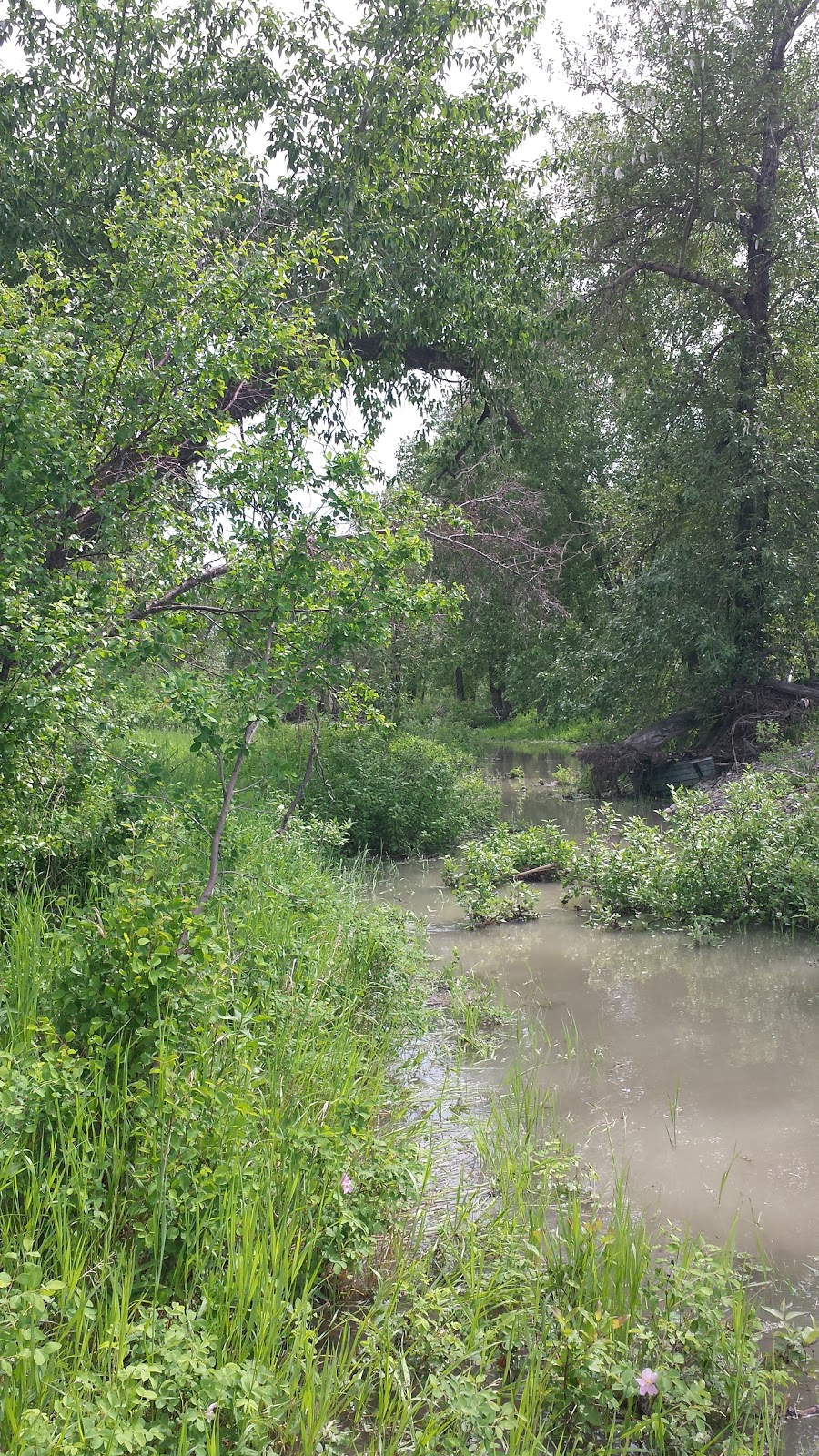 Beaver Dam Flats | 3A6, Bow River Pathway, Calgary, AB T2C 3A6, Canada