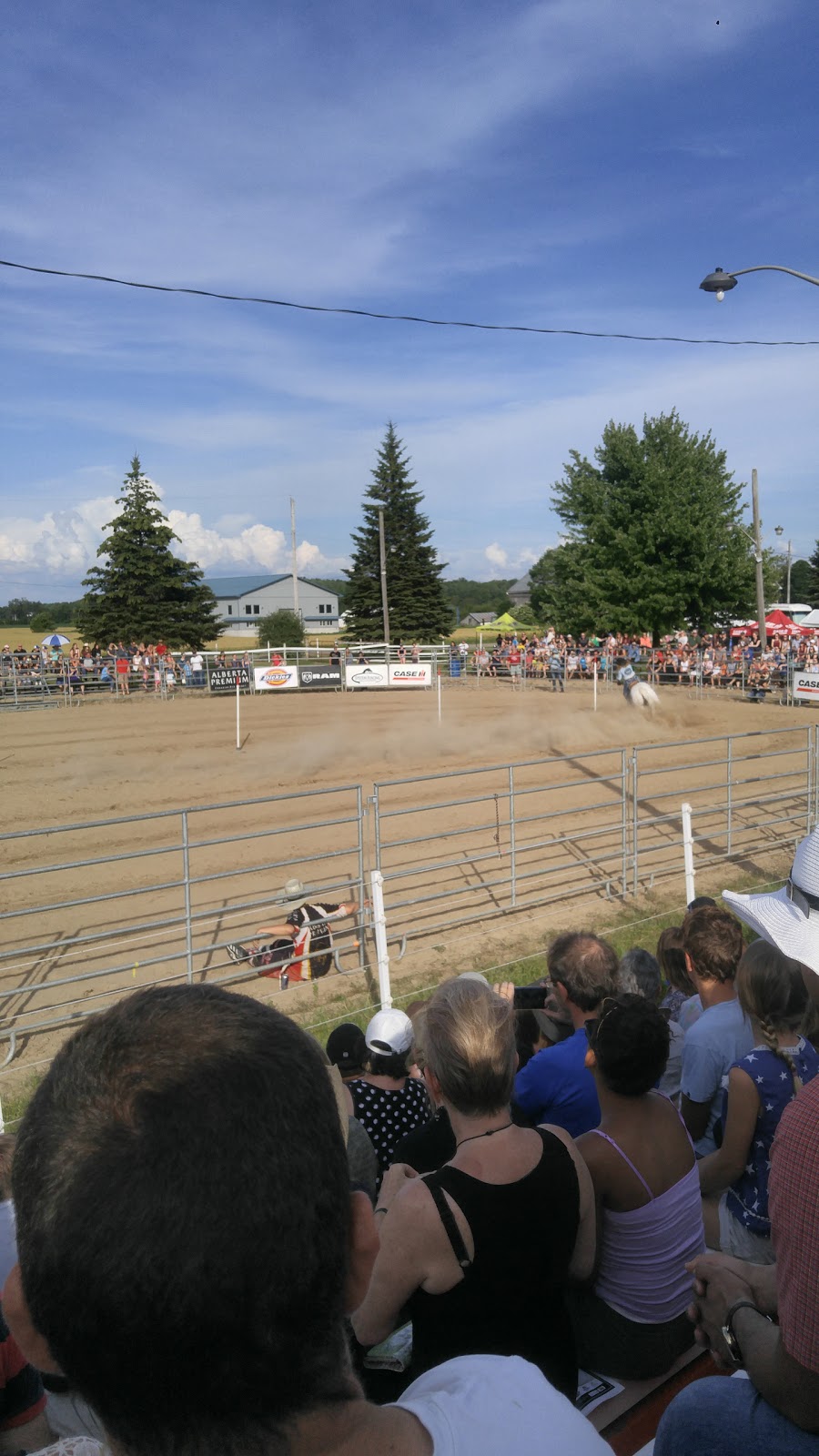 Calhoun Stables | 1590 Durant Rd, Breslau, ON N0B 1M0, Canada | Phone: (519) 664-0636